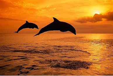 2分钟了解Capcom新IP《原始袭变》：故事篇