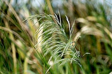 《原神》海外作弊软件开发者遭重罚 法院判赔150万美元